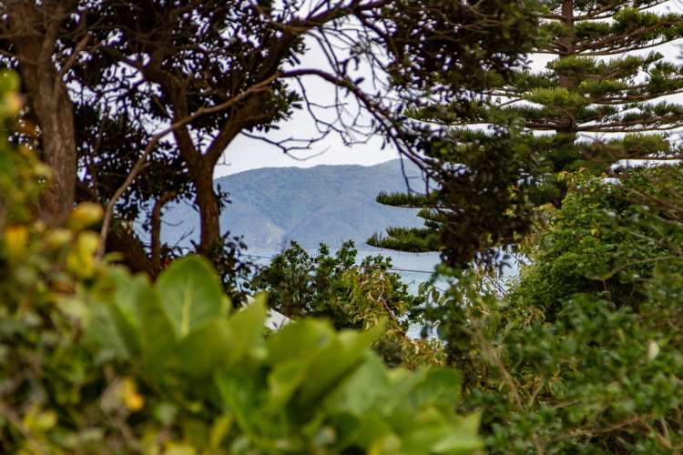 13 The Crescent Raumati South_31