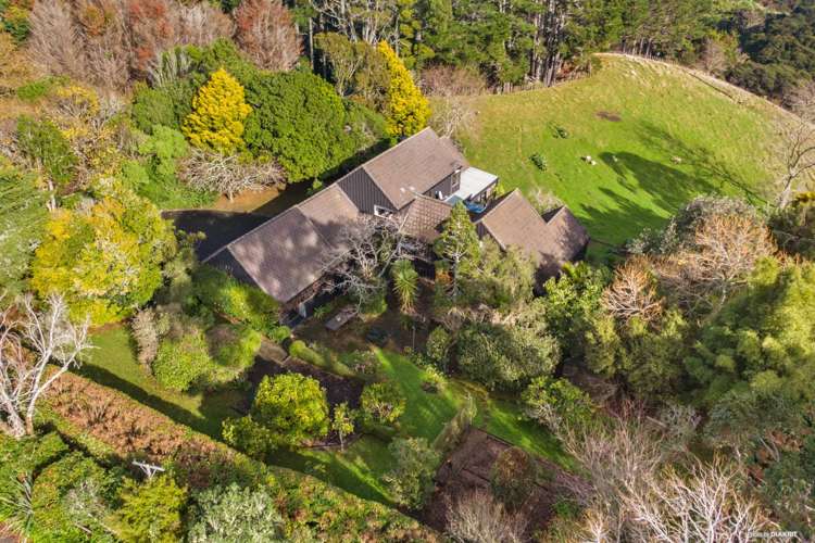 212 Ara-Kotinga Whitford_32