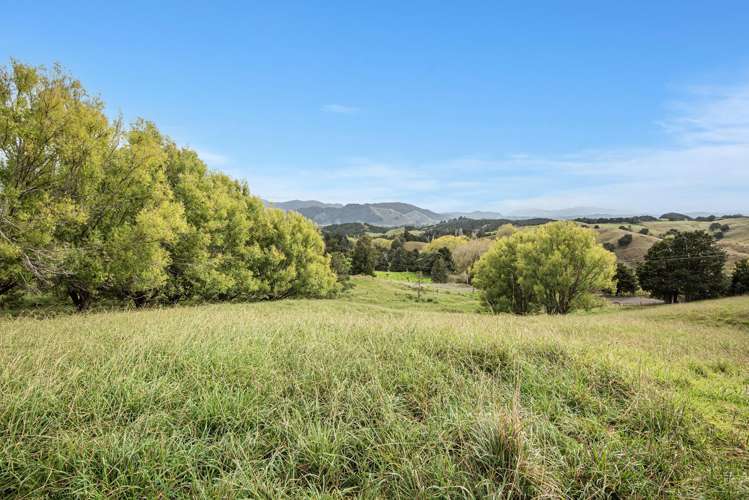 Kirikopuni Road Parakao_8