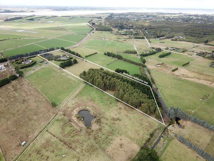 197 Curran Road Otatara_24