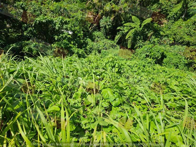 Address withheld Savusavu_10