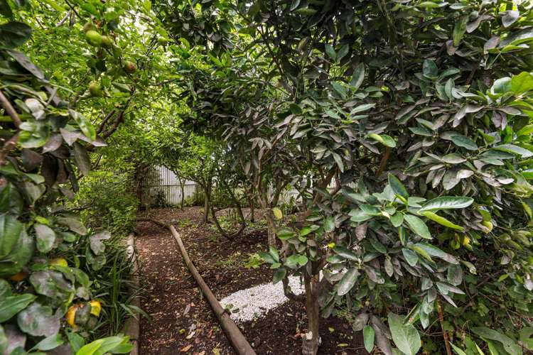 2542 State Highway 1 Grovetown_22