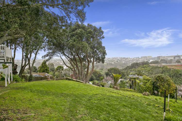 19a Ayr Street Parnell_1