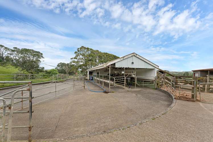 185 Kaipo Flats Road Loop Onewhero_13