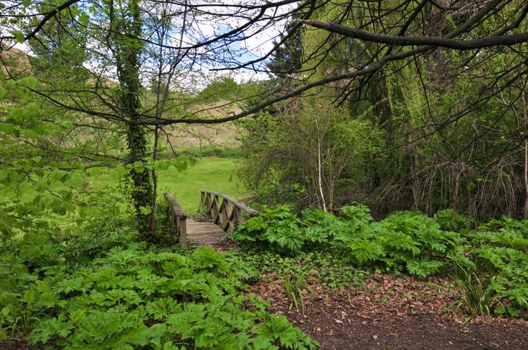 96 Cattle Valley Road Kurow_8