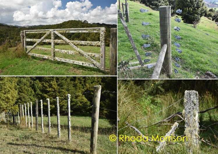 280 Central Road Mareretu_33