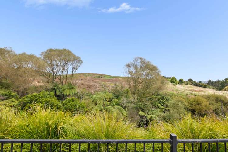 208 Hollister Lane Ohauiti_3