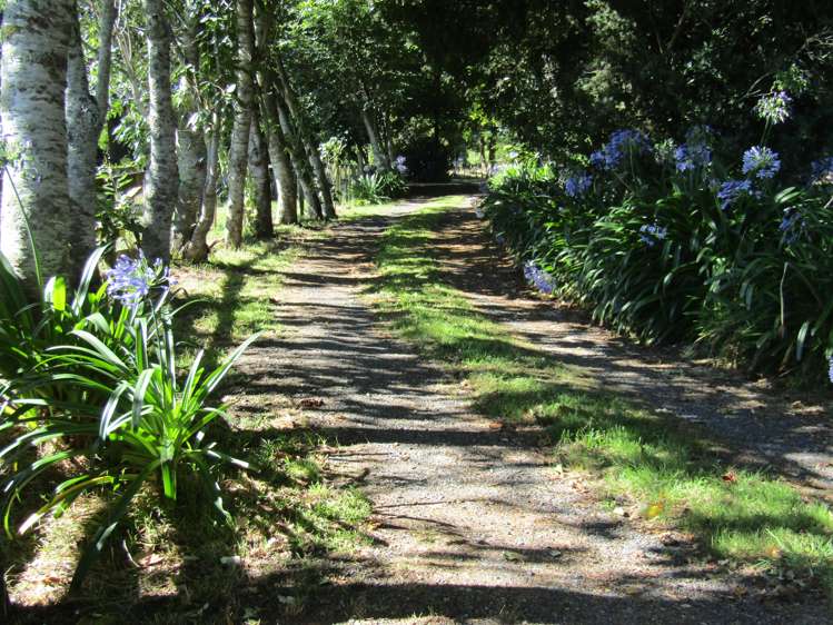 452 Holland Road Eureka_3