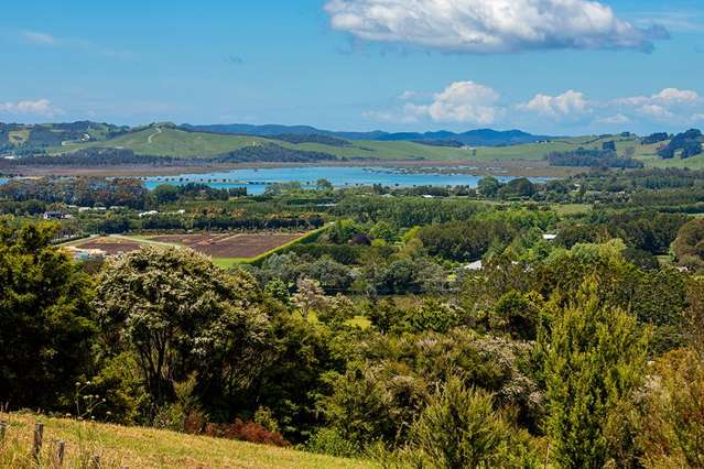 70 Upper Whangateau Road Big Omaha_3