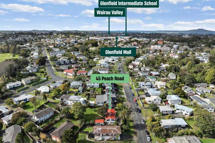 45 Peach Road Glenfield_10