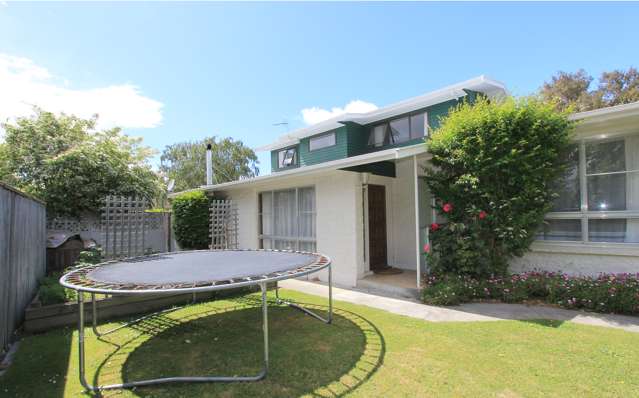 19 Leefield Street Blenheim Central_2