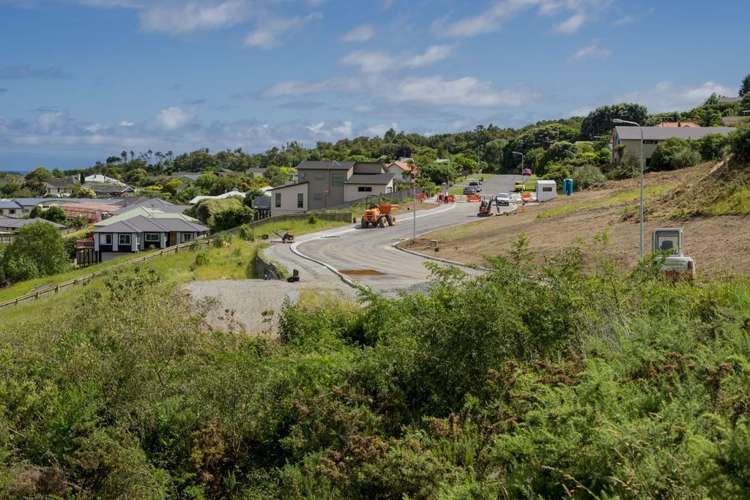 Kakariki Grove Waikanae_5