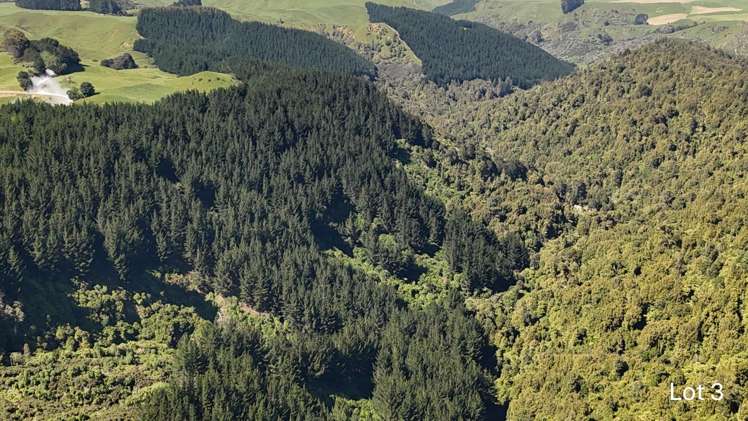 Lot 3 and 7/1005 Rangitatau East Road Kai Iwi_3