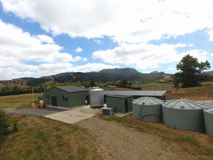 Maratoto Road Hauraki_5