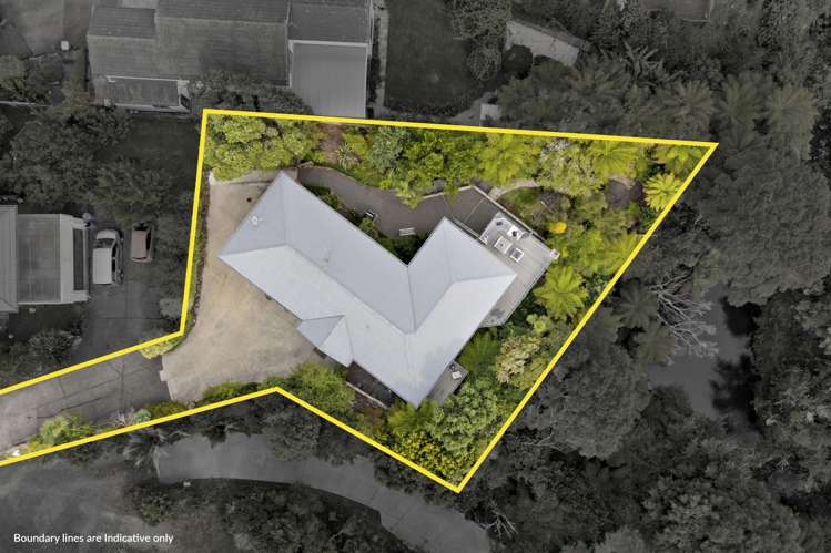 12B Cradock Street Avondale_17