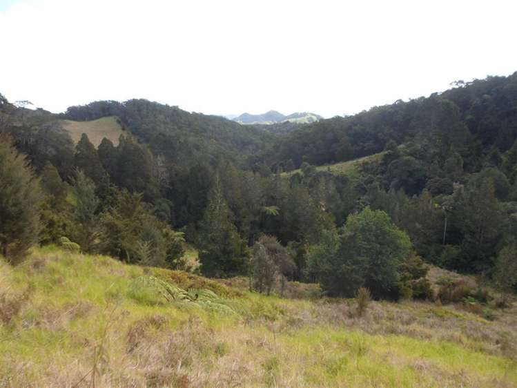 887 Fern Flat Road Peria_12