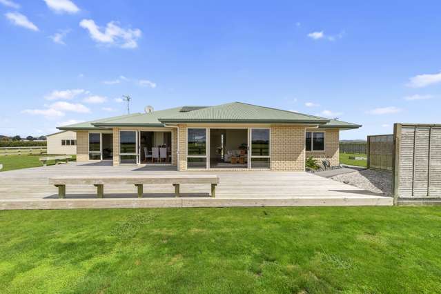 111 Gibbon Road Morrinsville_1