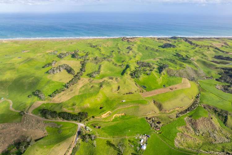 Pinaki Road Dargaville_14