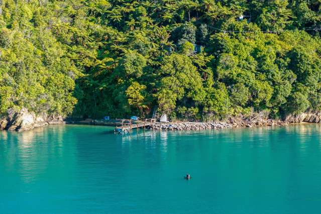Lot 1 Blackwood Bay Queen Charlotte Sound_4