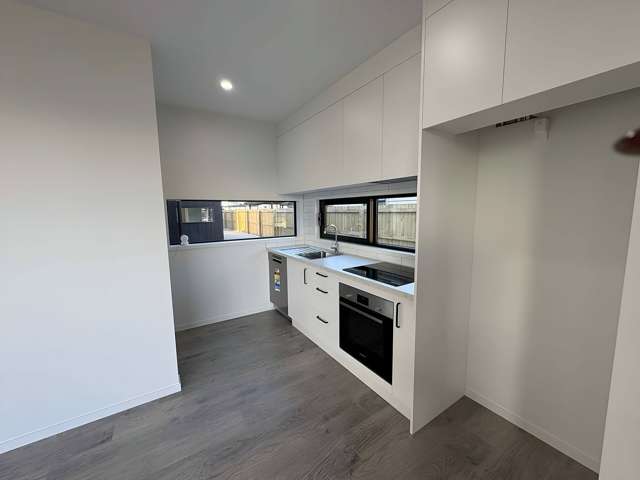 65a Rutherford Street Woolston_1