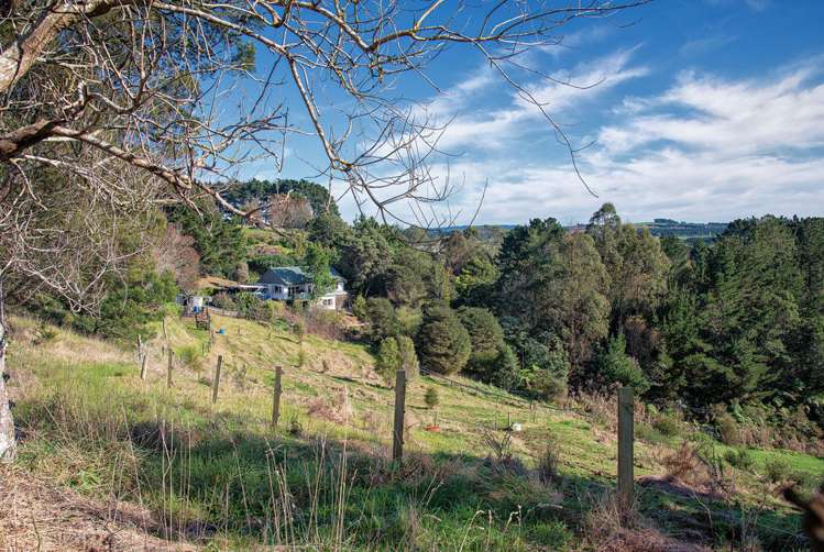 469 Kauri Road Onewhero_8