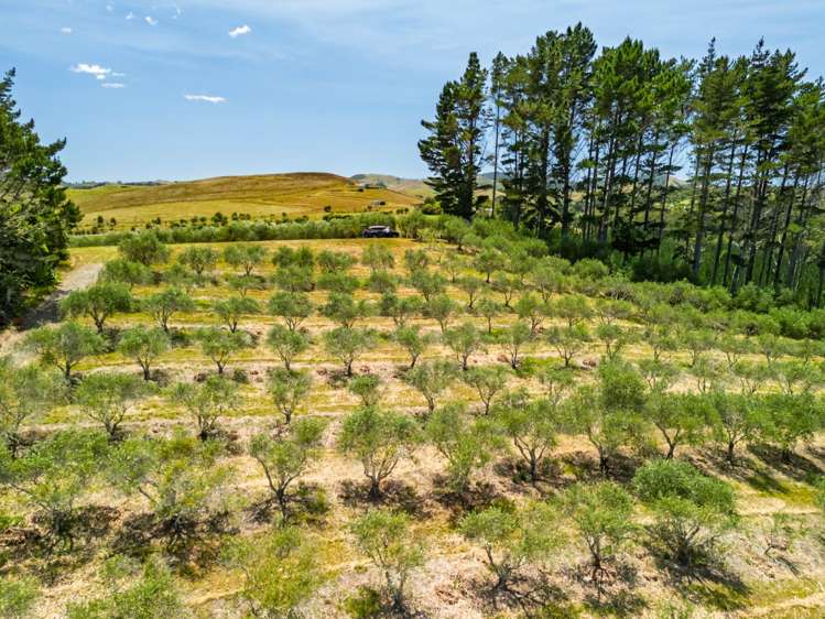 2884A State Highway 10 Mangonui_28