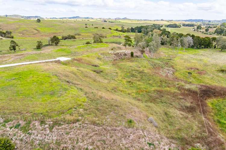 Whakapirau Road Maungaturoto_37