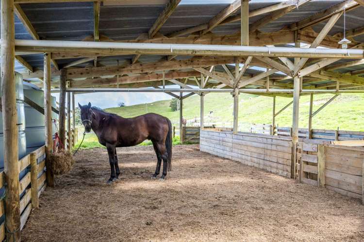 421 Wharehine Road Wellsford_9