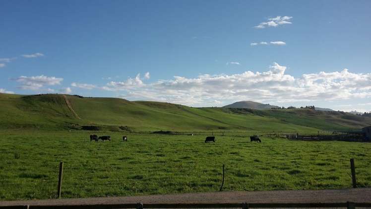 432 Flag Swamp Road Flag Swamp_18