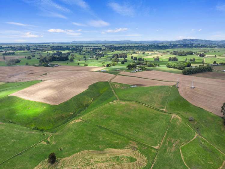 54 Puahue Road Te Awamutu_2