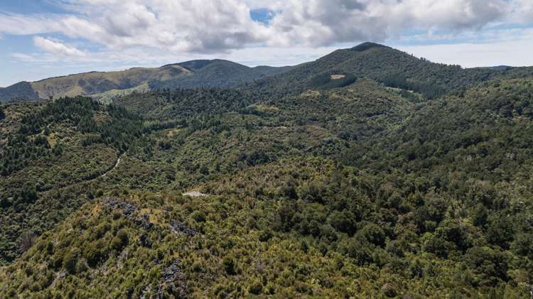 Lot 1 Rameka Creek Road Takaka_9