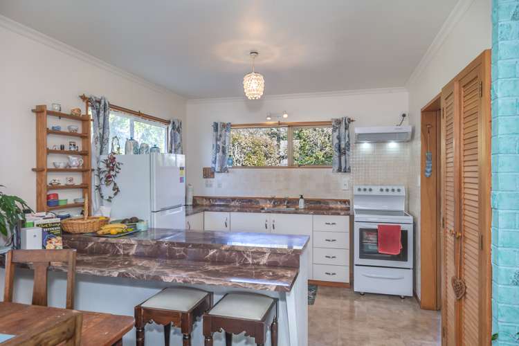 29a Sussex Street Levin_5