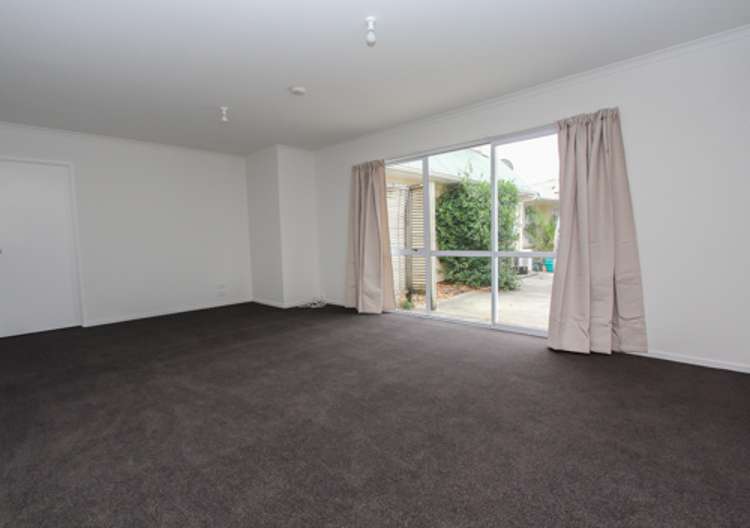 164c Old Farm Road Hamilton East_5
