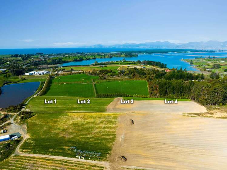 Lot 3 Kamana Estate Mahana_1