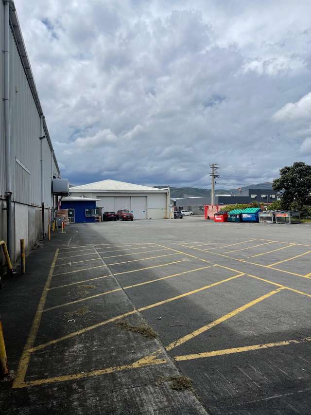 50 East Street Petone_3