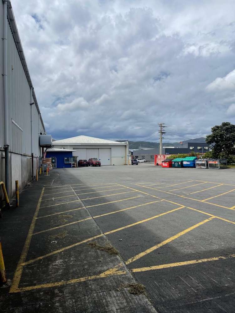 50 East Street Petone_3