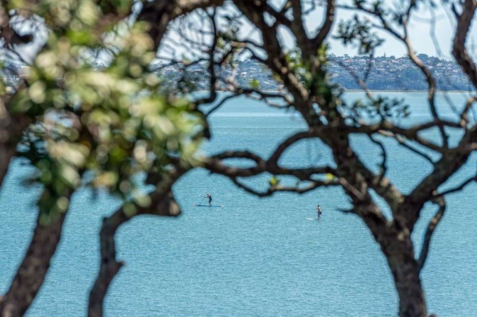 4/259 Jervois Road Herne Bay_0