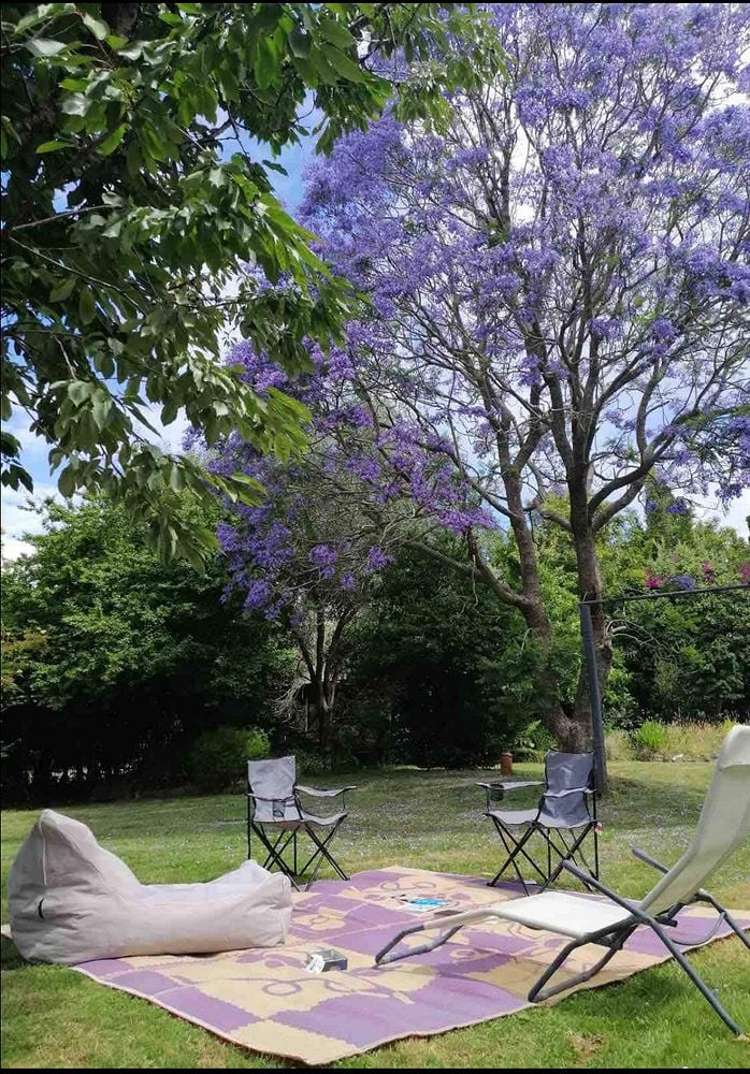 2 West Beach Road Mohaka_10