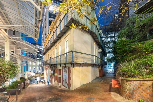 202-3 Plimmers Steps Wellington Central_2