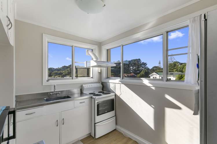 99 Coromandel Street Newtown_12