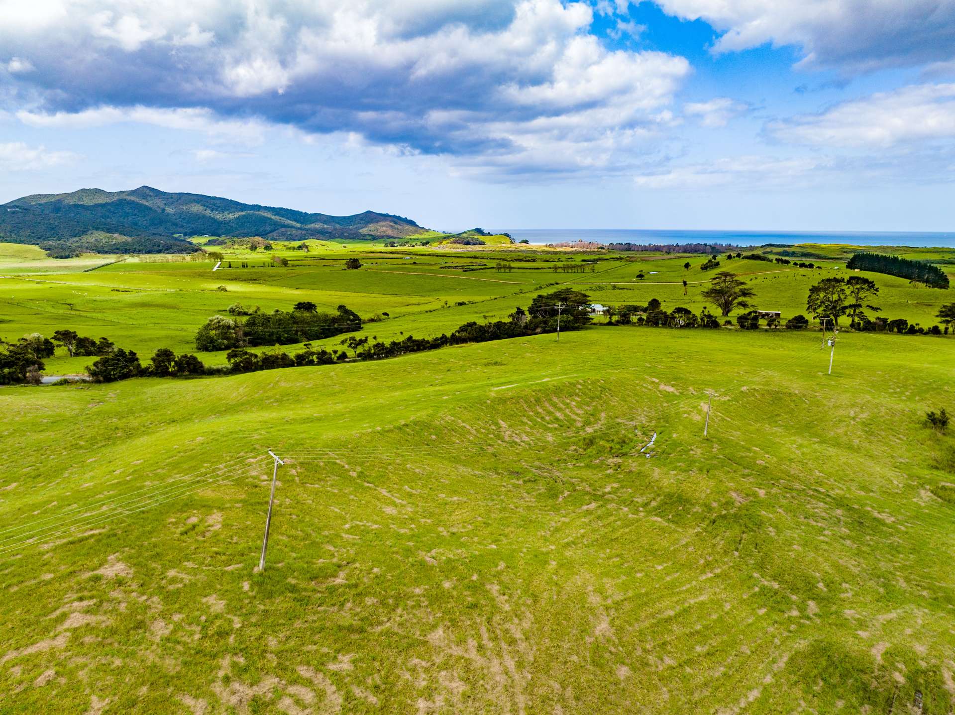 Lot 3 395 Ody Road Whangarei Heads_0