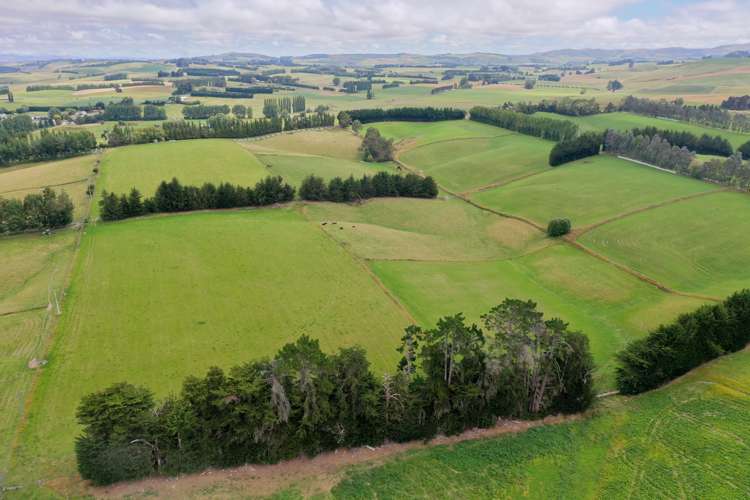 70 Herron Road Waikaka_7