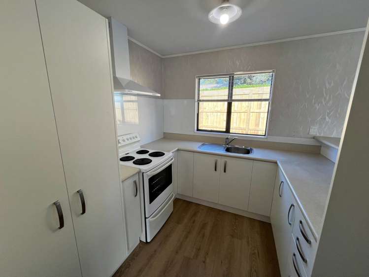 45 Glenview Road Glen Eden_8