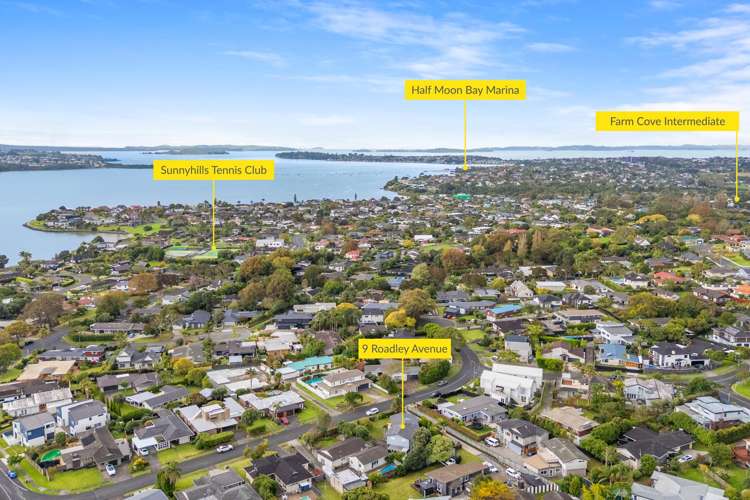 9 Roadley Avenue Sunnyhills_20