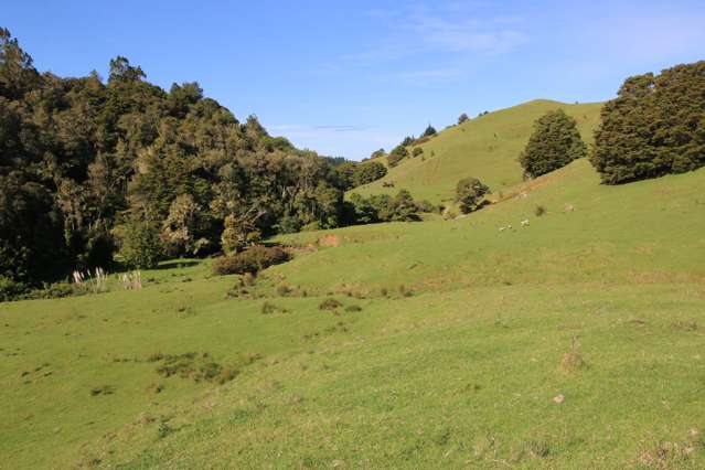 Otangaroa Road Kaeo_1