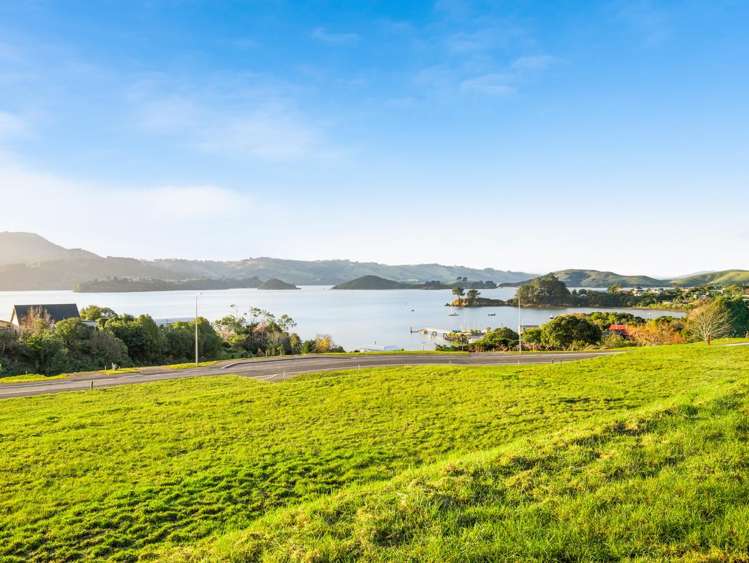 Camp Street / Batham Way_4