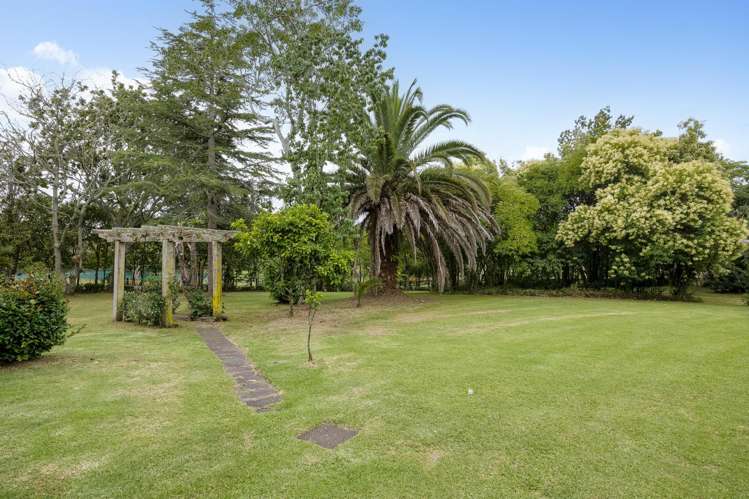 368 Matua Road_4