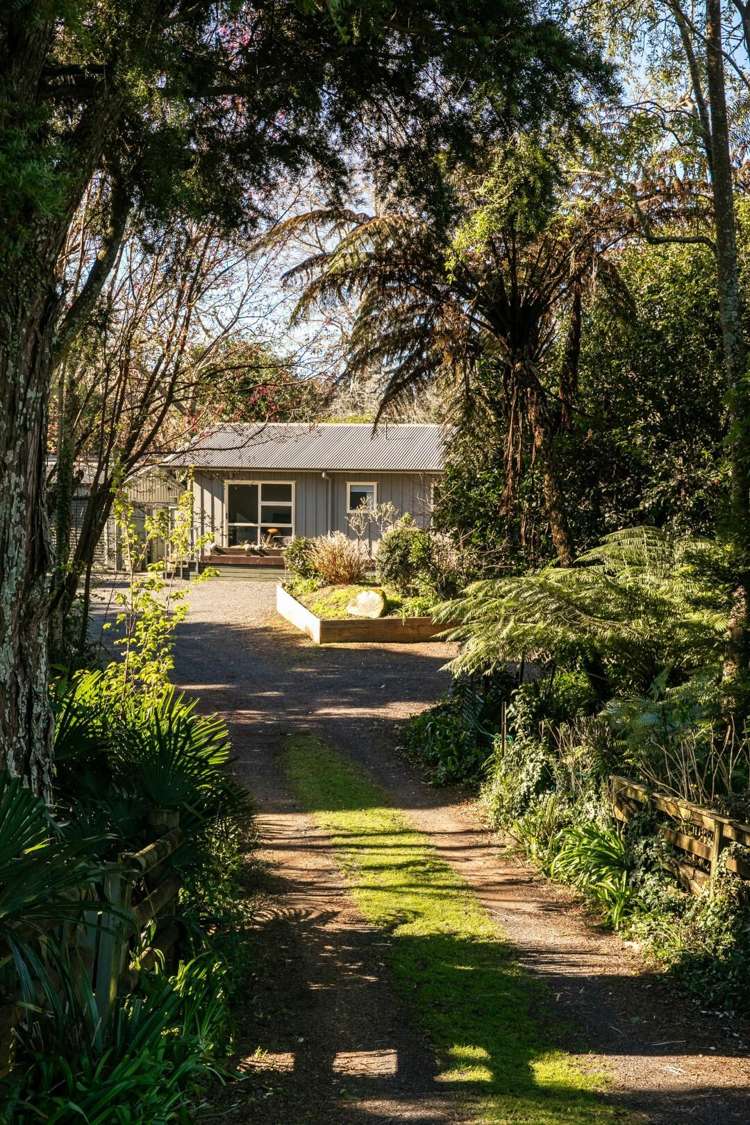25 Gilmour Street Waihi_16