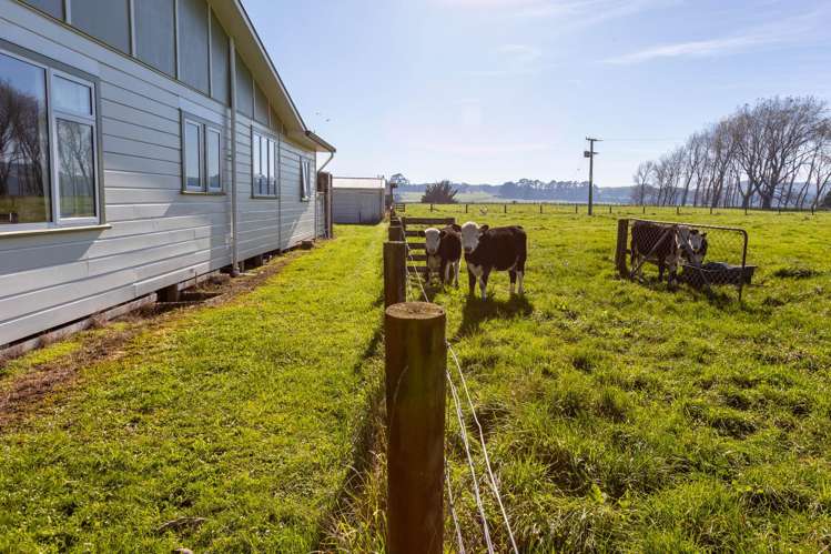 120 Okarae Road Rangitikei Surrounds_21