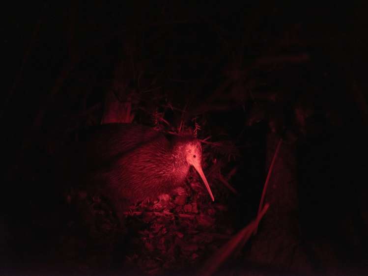 lot 17/385 Rangihoua Road Kerikeri_22